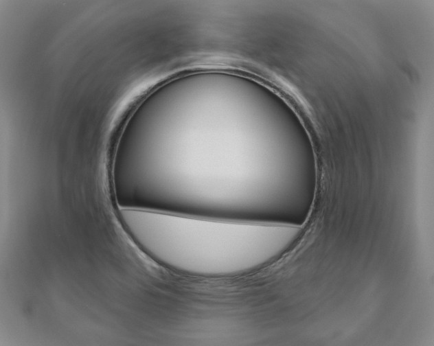 X0000110881464200906180934