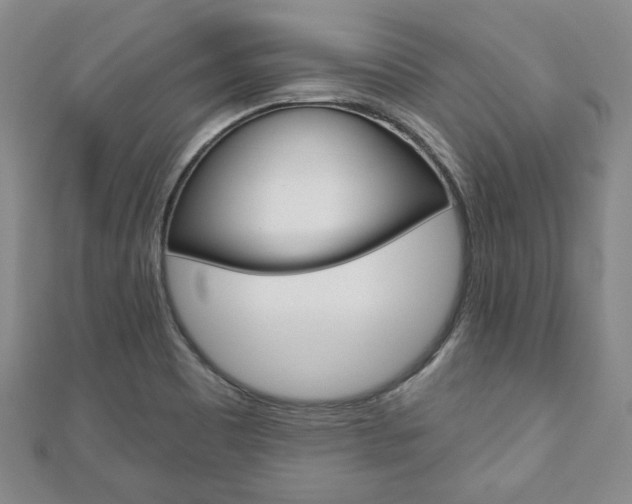 X0000110881465200906180934