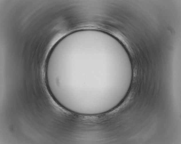 X0000110881466200906180934