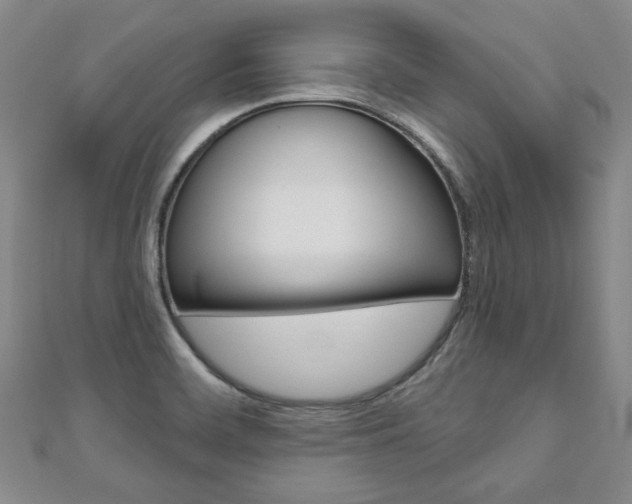 X0000110881468200906180934