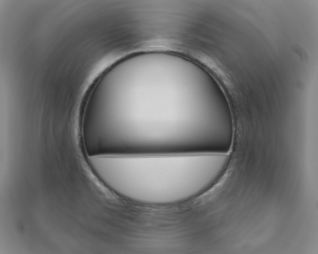 X0000110881469200906180934