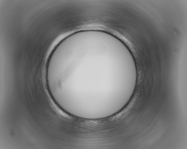X0000110881470200906180934