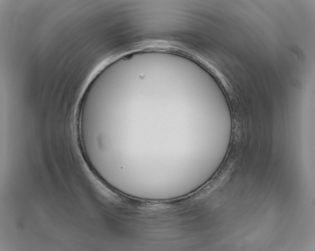 X0000110881475200906180934