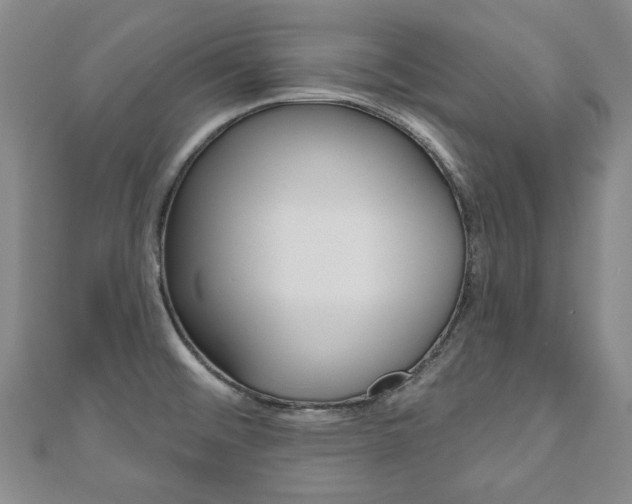 X0000110881476200906180934