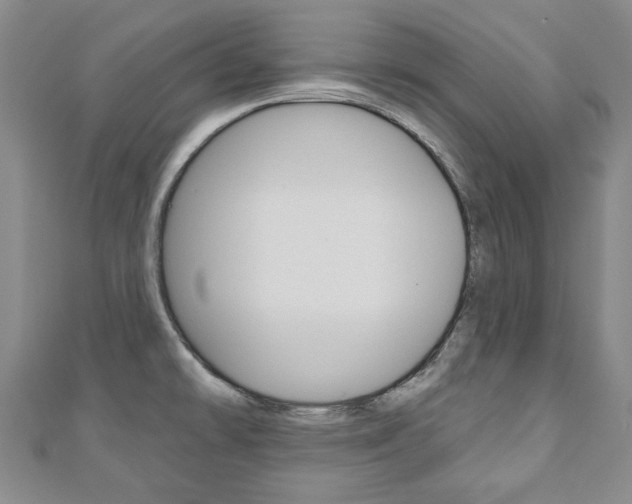 X0000110881478200906180934