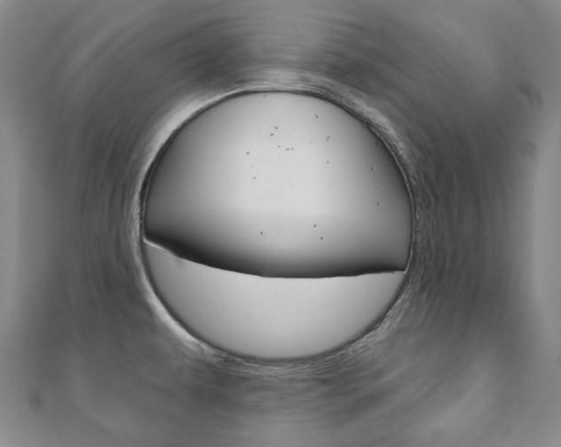 X0000110881479200906180934