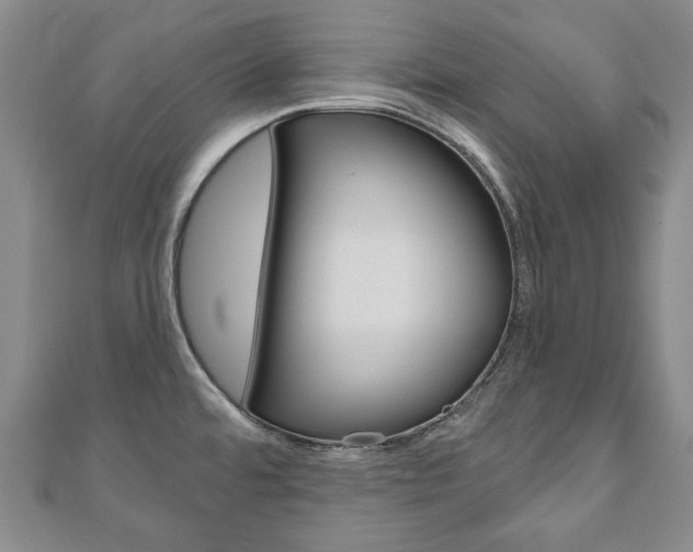 X0000110881480200906180934