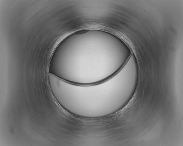 X0000110881481200906180934