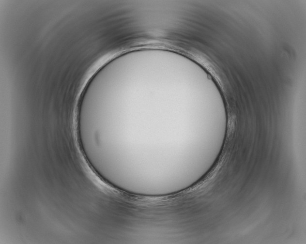 X0000110881482200906180934