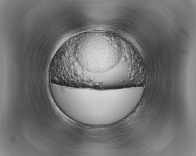 X0000110881483200906180934