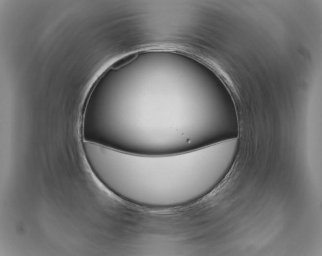 X0000110881484200906180934