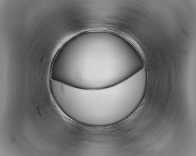 X0000110881485200906180934