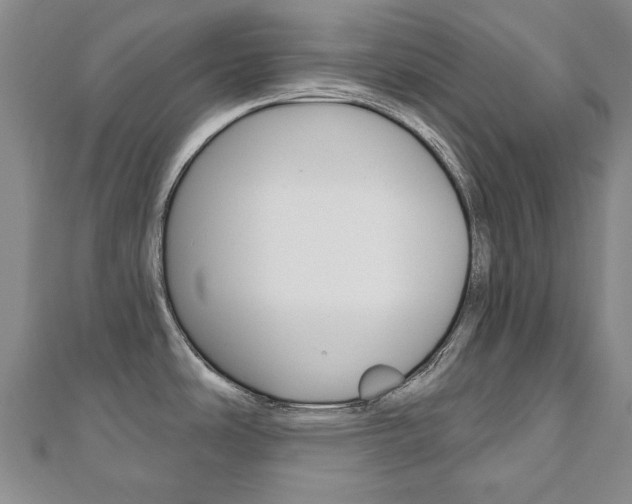 X0000110881486200906180934