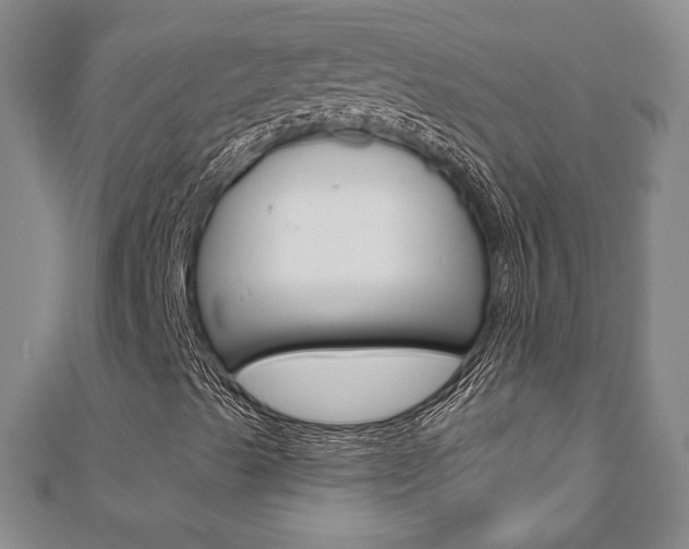 X0000110881489200906180933