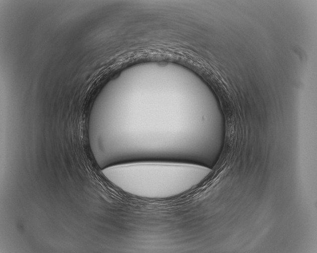 X0000110881490200906180933