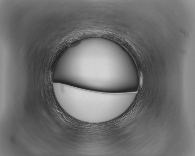 X0000110881492200906180933