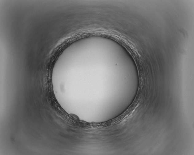 X0000110881494200906180933