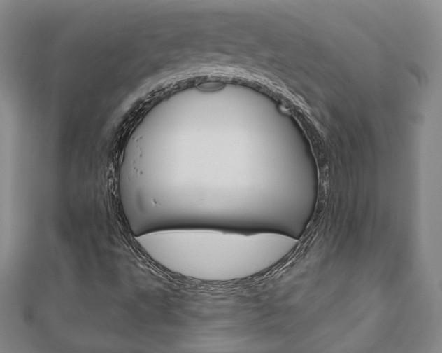 X0000110881495200906180933