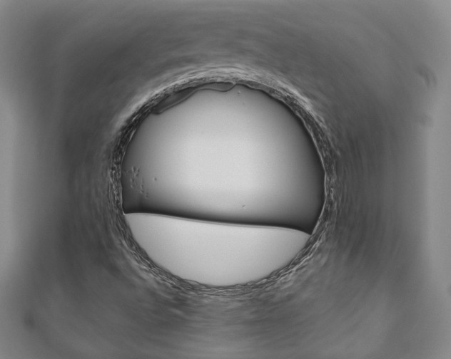X0000110881496200906180933