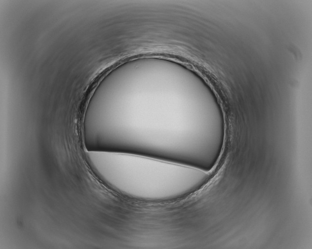 X0000110881497200906180933