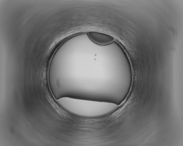 X0000110881499200906180933