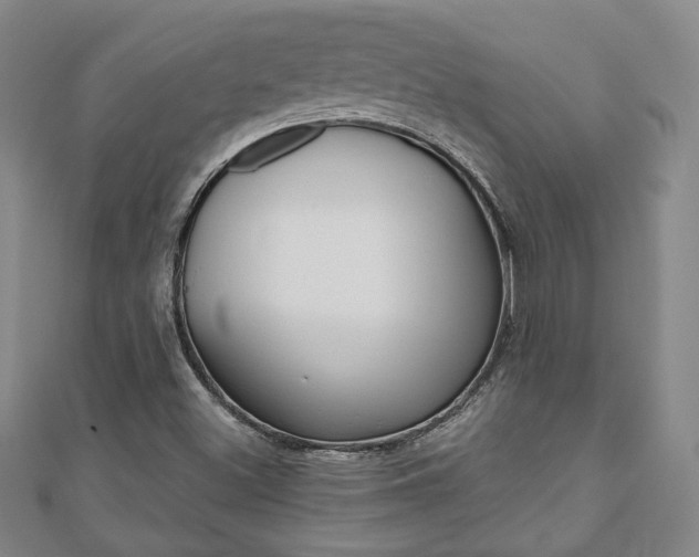 X0000110881500200906180933