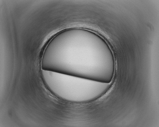 X0000110881501200906180933