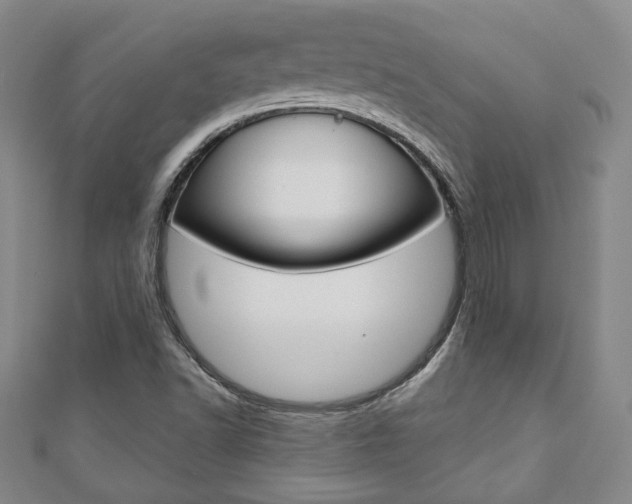 X0000110881502200906180933