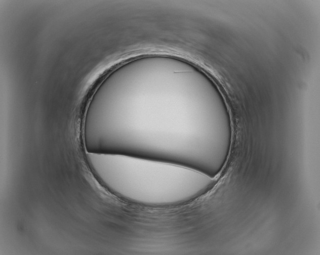 X0000110881503200906180933