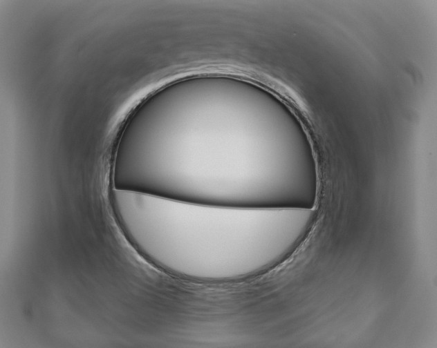 X0000110881504200906180933