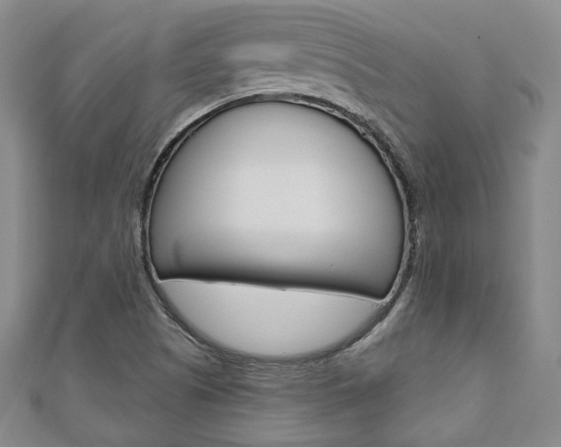 X0000110881505200906180933