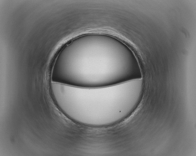 X0000110881506200906180933