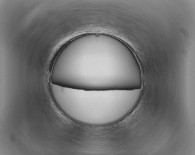 X0000110881507200906180933