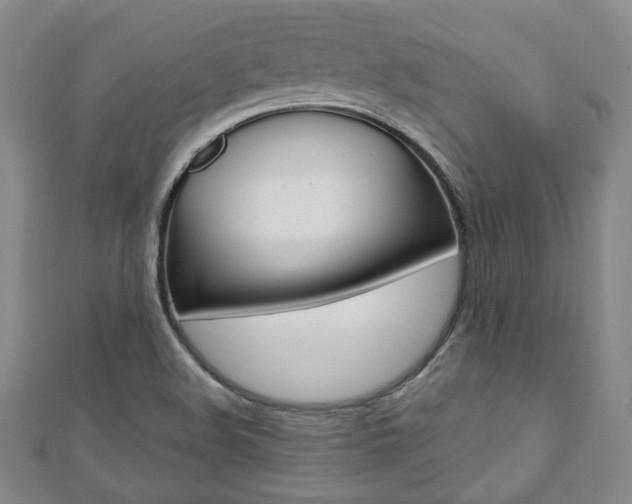 X0000110881508200906180934