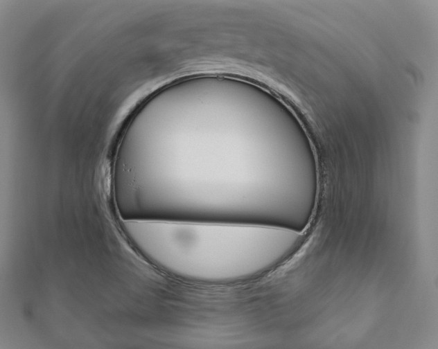 X0000110881509200906180934