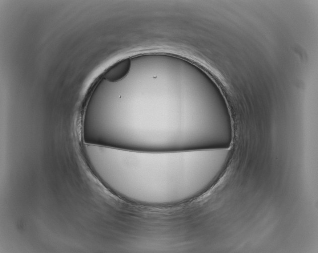 X0000110881510200906180934