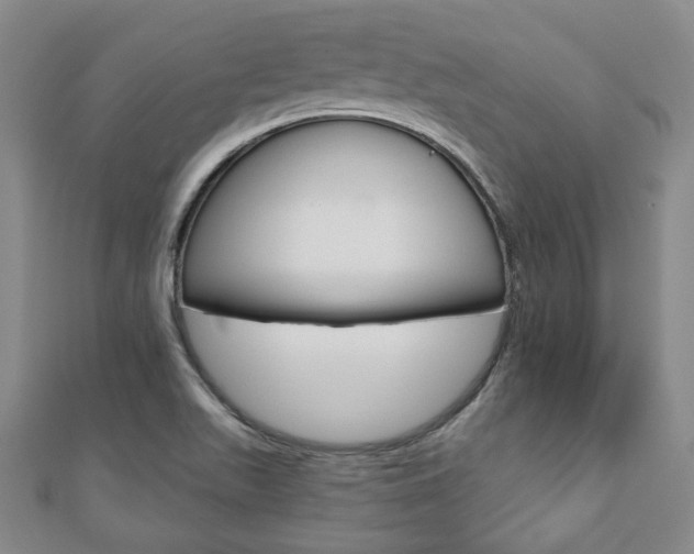 X0000110881511200906180934