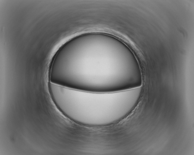 X0000110881512200906180934