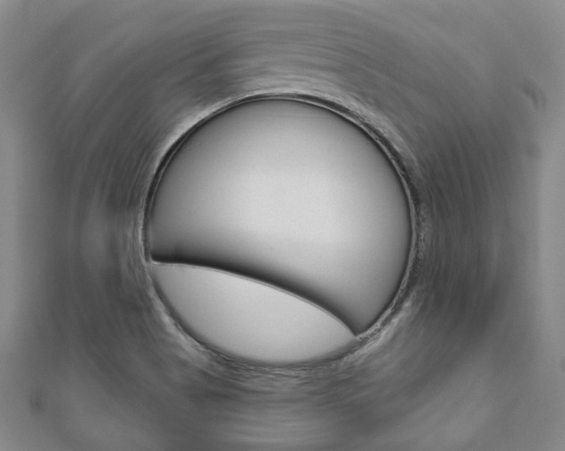 X0000110881513200906180934
