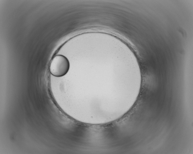 X0000110881514200906180934