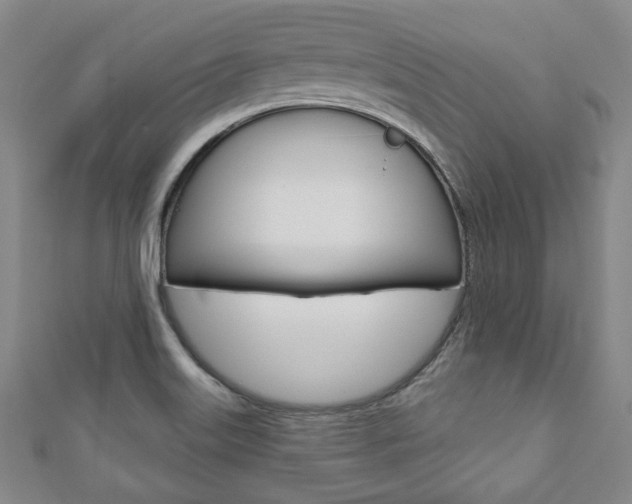 X0000110881515200906180934