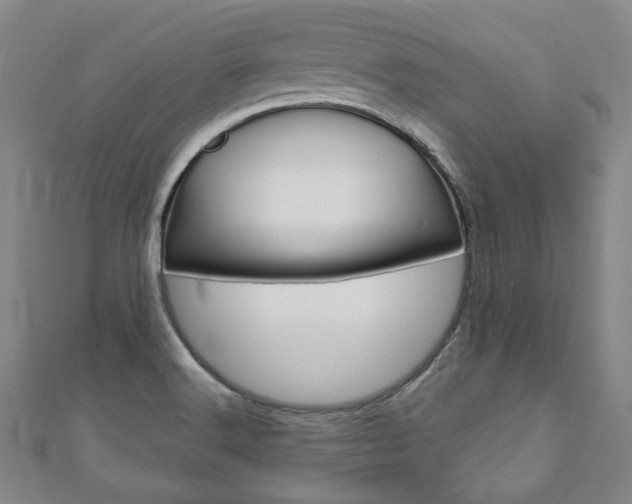 X0000110881516200906180934