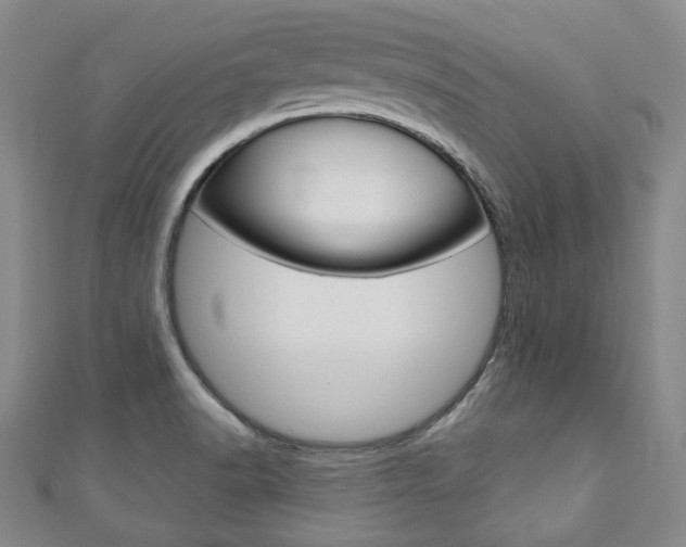 X0000110881518200906180934