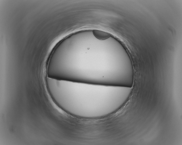 X0000110881519200906180934
