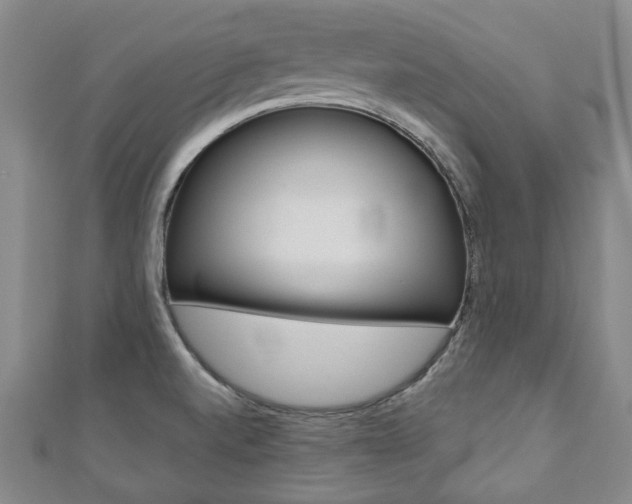 X0000110881520200906180934