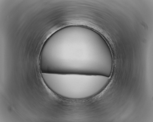 X0000110881521200906180934