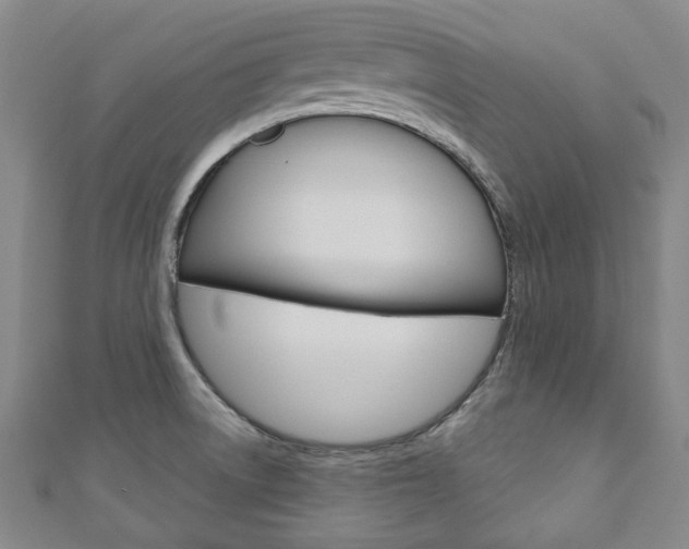 X0000110881522200906180934