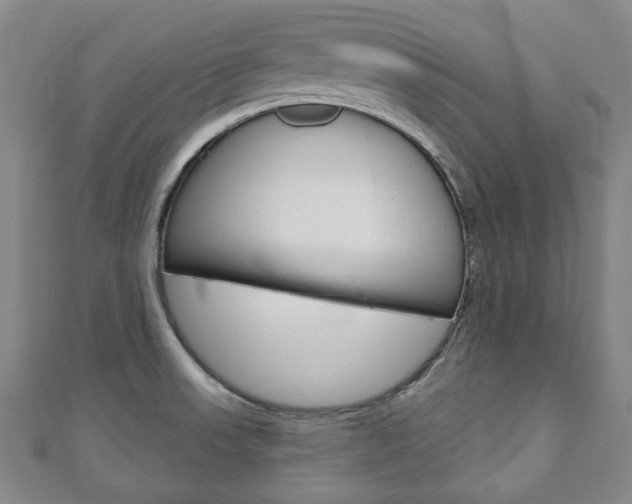 X0000110881523200906180934