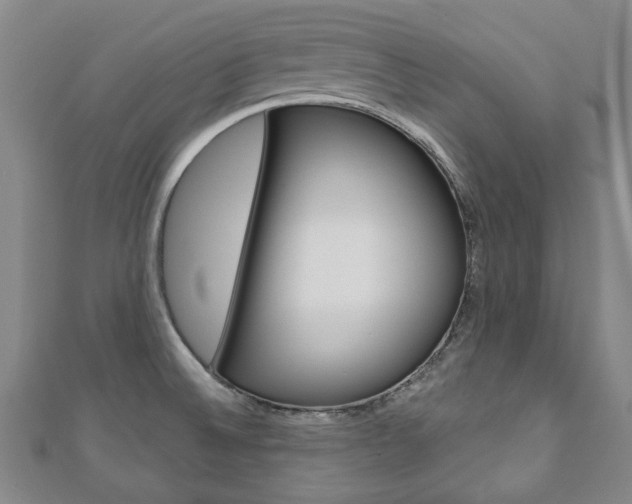X0000110881524200906180934