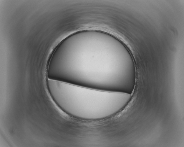 X0000110881525200906180934